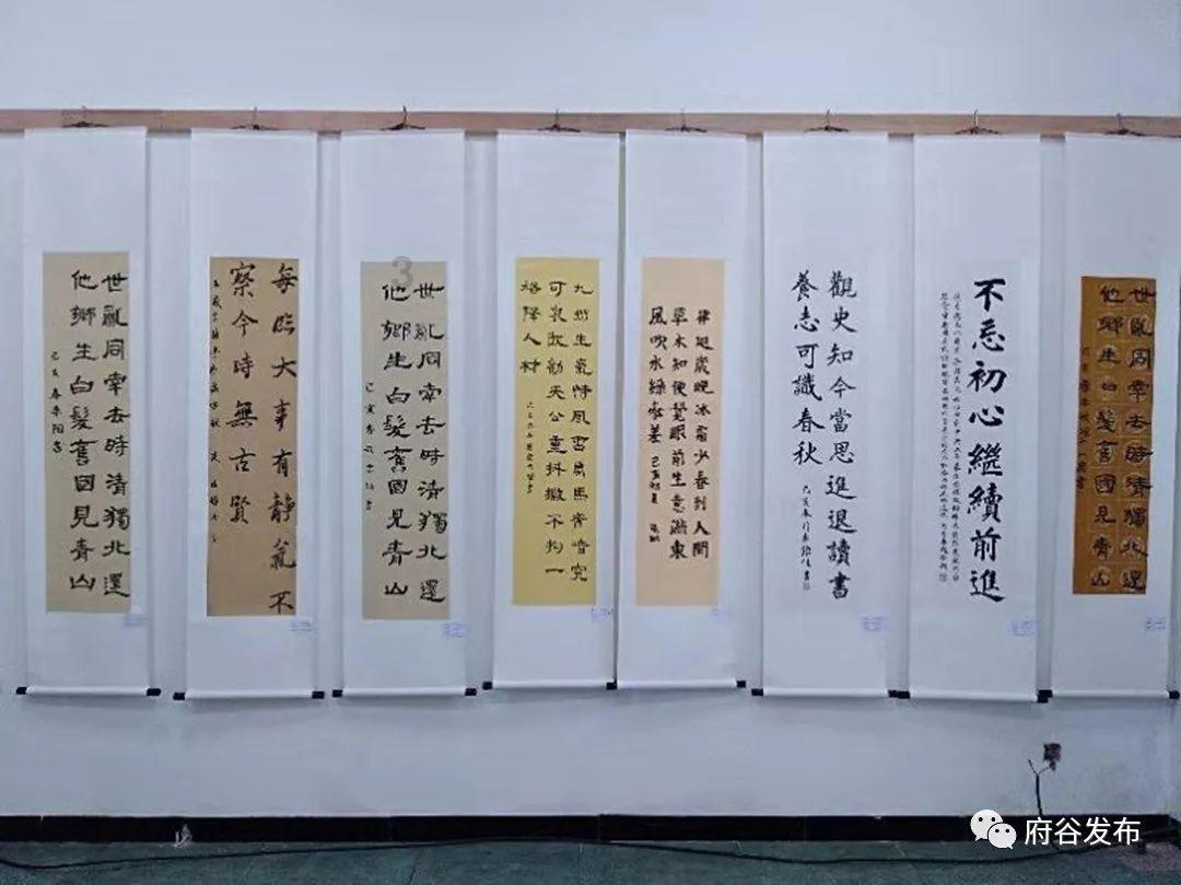 解锁吉鹿力问答社区,探索二代海柳手串能包浆吗的乐趣!